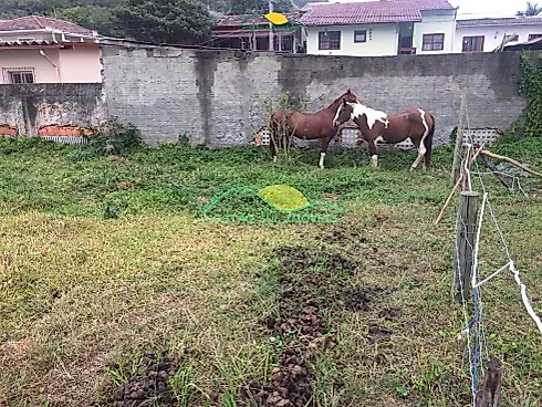 Terreno em Pântano Do Sul, Florianópolis