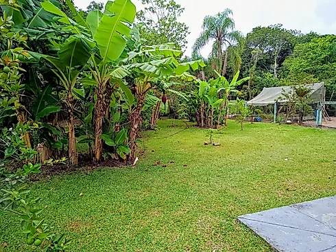 Chácara 3300m² com Boa Localização - Sul do Rio - Foto 16