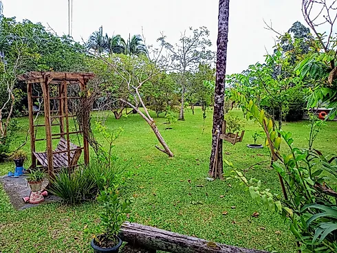 Chácara 3300m² com Boa Localização - Sul do Rio - Foto 17
