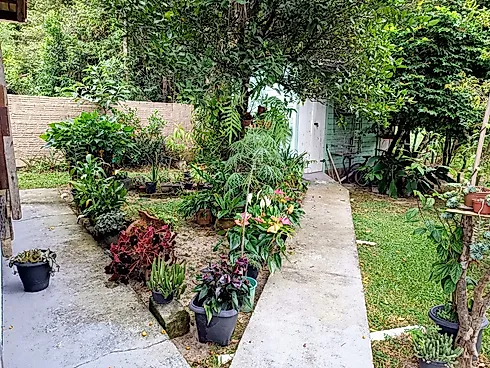 Chácara 3300m² com Boa Localização - Sul do Rio - Foto 32