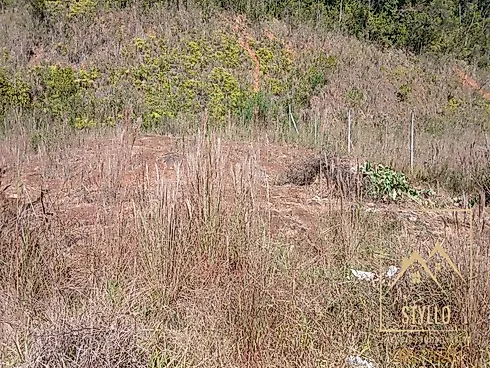 Excelente Terreno à Venda, 364,00 m² - Bairro Sertão do Imarui São José SC - Terreno em Sertão Do Maruim, São José - Foto 2