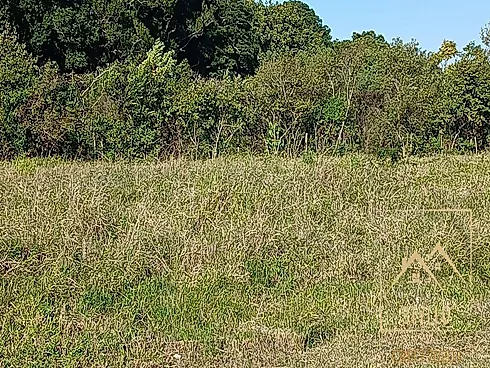 Excelente Terreno Industrial com 1.940 m² Localizado Sertão do Imaruí Sj - Terreno em Sertão Do Maruim, São José - Foto 2