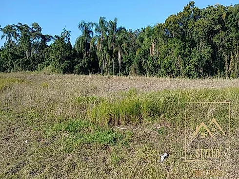 Excelente Terreno Industrial com 2.029,570M² Localizado Sertão do Imaruí - Terreno em Sertão Do Maruim, São José - Foto 3