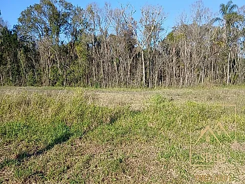 Excelente Terreno Industrial com 1.500,56 m² Localizado Sertão do Imaruí - Terreno em Sertão Do Maruim, São José - Foto 3