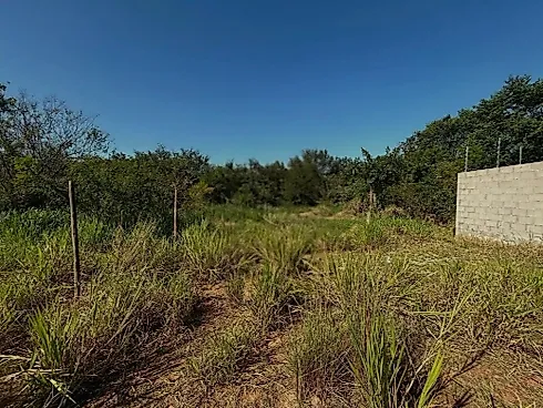 Terreno em Forquilhas São José - Terreno em Forquilhas, São José - Foto 2