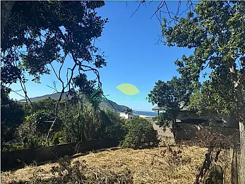 Lote 425,88 m² no Santinho com Vista para o Mar — Financia, Florianópolis, SC - Terreno em São João Do Rio Vermelho, Florianópolis - Foto 4