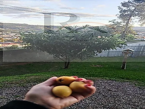 Casa para Venda em Palhoça, Aririu, 3 Dormitórios, 1 Banheiro, 5 Vagas - Casa em Aririu, Palhoça - Foto 4