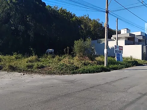 Lote, Geral do Bela Vista, Esquina, 343m², Palhoça, SC - Terreno em Bela Vista, Palhoça - Foto 1