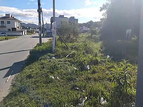 Lote, Geral do Bela Vista, Esquina, 343m², Palhoça, SC - Terreno em Bela Vista, Palhoça - Foto 4