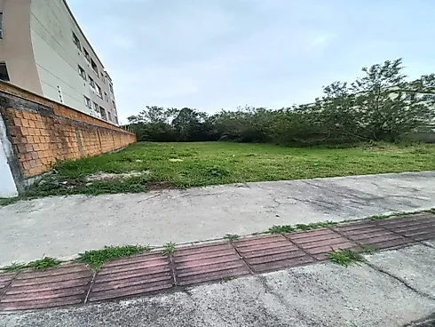 Lote de 386m², Nova Palhoça, Palhoça, SC - Terreno em Nova Palhoça, Palhoça - Foto 3