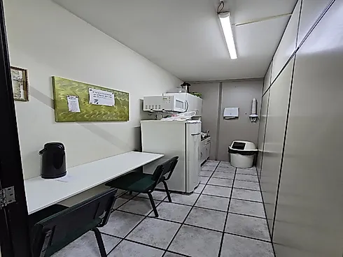 Escritório/Sala Comercial - 272m², Centro - Foto 16