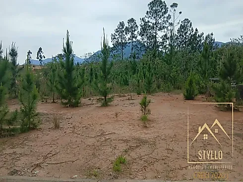 Excelente Terreno a Venda, 449,79 m² - Governador Celso Ramos /SC - Terreno em Areias de Baixo, Governador Celso Ramos - Foto 2