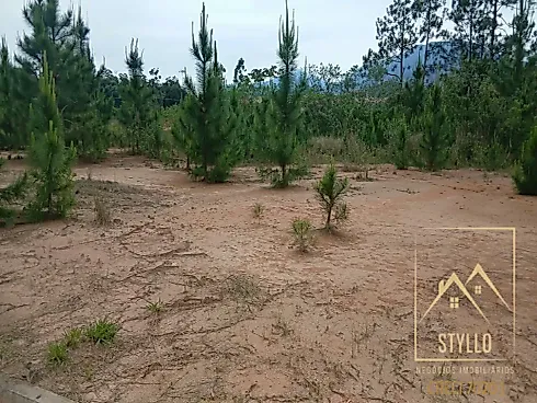 Excelente Terreno a Venda, 449,79 m² - Governador Celso Ramos /SC - Terreno em Areias de Baixo, Governador Celso Ramos - Foto 3