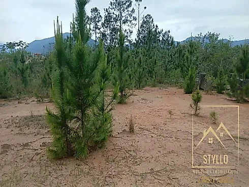 Excelente Terreno a Venda, 449,79 m² - Governador Celso Ramos /SC - Terreno em Areias de Baixo, Governador Celso Ramos - Foto 4