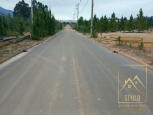 Excelente Terreno a Venda, 449,79 m² - Governador Celso Ramos /SC - Terreno em Areias de Baixo, Governador Celso Ramos - Foto 5