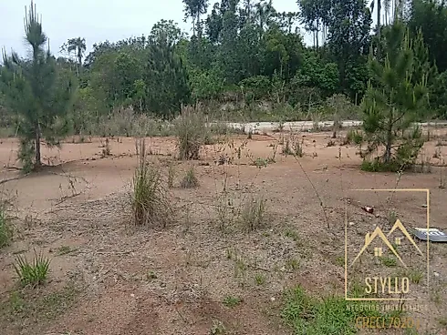 Excelente Terreno a Venda, 1.000 m² - Governador Celso Ramos /SC - Terreno em Areias de Baixo, Governador Celso Ramos - Foto 2