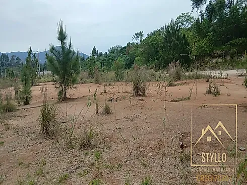 Excelente Terreno a Venda, 1.000 m² - Governador Celso Ramos /SC - Terreno em Areias de Baixo, Governador Celso Ramos - Foto 3