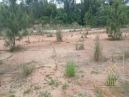 Excelente Terreno a Venda, 1.000 m² - Governador Celso Ramos /SC - Terreno em Areias de Baixo, Governador Celso Ramos - Foto 4