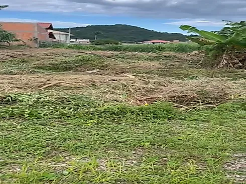 Terreno 520m² - Praia de Fora - Terreno em Praia de Fora, Palhoça - Foto 5