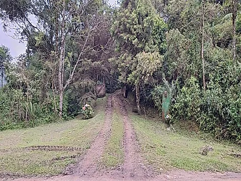 Vida na Serra Catarinense – Sítio com Nascente, Cachoeira Próxima e Amplo Espaço de Lazer em Angelin - Casa em Rural, Rancho Queimado - Foto 4