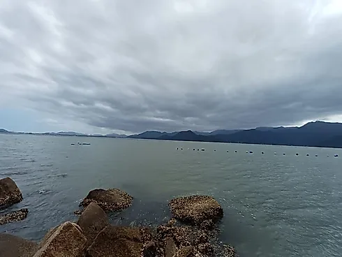 Terreno de 81.297M² na Tapera do Ribeirão - Ribeirão da Ilha - Florianópolis/SC - Foto 15