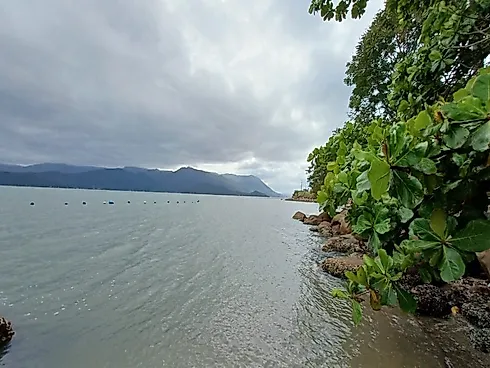 Terreno de 81.297M² na Tapera do Ribeirão - Ribeirão da Ilha - Florianópolis/SC - Foto 17