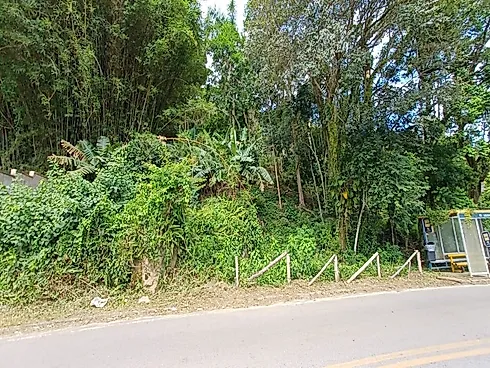 Terreno de 81.297M² na Tapera do Ribeirão - Ribeirão da Ilha - Florianópolis/SC - Terreno em Ribeirão da Ilha, Florianópolis - Foto 4