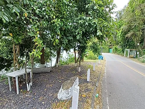 Terreno de 81.297M² na Tapera do Ribeirão - Ribeirão da Ilha - Florianópolis/SC - Foto 9