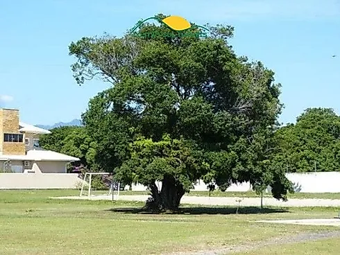 Terrenos Planos de 510 m² em Condomínio de Alto Padrão no Condomínio Horizontal Arabutã - Campeche - - Foto 12