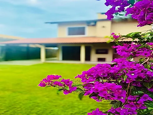 Thumbnail 29