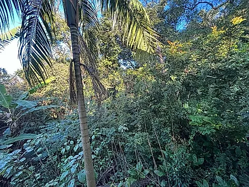 "Encantadora Casa com 5 Quartos. Seu Refúgio à 850 Metros do Mar!" - Pântano do Sul - Florianópolis/ - Foto 10