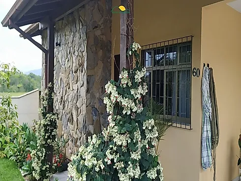 Casa 3 Quartos + Edícula + 2 Apartamentos no Campeche - Florianópolis/SC. - Casa em Campeche, Florianópolis - Foto 3