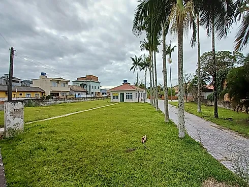 Casa de Alvenaria em Terreno de 3.652,09M² com Zoneamento Ams-3.5, na Rod. Baldicero Filomeno - Alto - Casa em Ribeirão da Ilha, Florianópolis - Foto 1