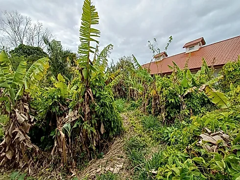 Casa de Alvenaria em Terreno de 3.652,09M² com Zoneamento Ams-3.5, na Rod. Baldicero Filomeno - Alto - Foto 21