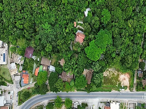 Terreno de 18.000M² à Venda no Morro das Pedras, Florianópolis/SC - Terreno em Morro das Pedras, Florianópolis - Foto 5