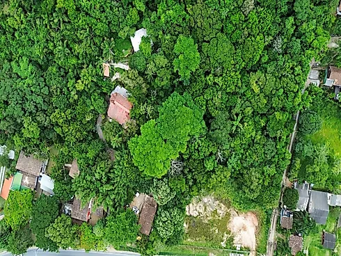 Terreno de 18.000M² à Venda no Morro das Pedras, Florianópolis/SC - Foto 9