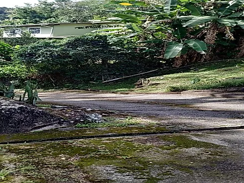 Cota Imobiliária - Casa com 4 Quartos no Córrego Grande - Florianópolis/SC. - Foto 6