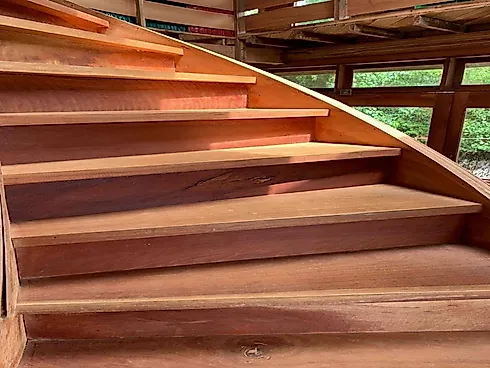 🌊🌳 Viva Entre o Mar e a Mata: 2 Casas a Poucos Passos da Praia 🏡🌴 -  Venda e Locação, Ribeirão D - Foto 14