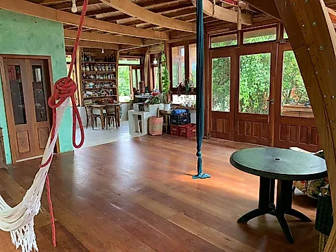 🌊🌳 Viva Entre o Mar e a Mata: 2 Casas a Poucos Passos da Praia 🏡🌴 -  Venda e Locação, Ribeirão D - Foto 16