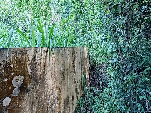 Terreno Plano de 480m² (24X20) em Servidão sem Saída no Rio Tavares - Florianópolis/SC - Terreno em Rio Tavares, Florianópolis - Foto 3