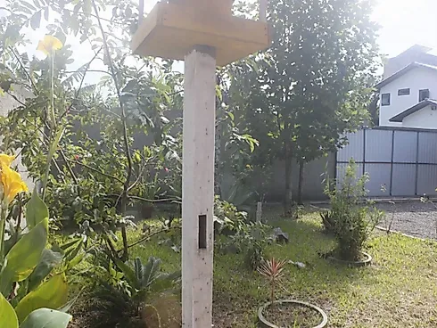 Casa à Venda, Morro das Pedras, Florianópolis, SC - Casa em Morro das Pedras, Florianópolis - Foto 4