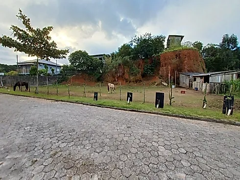 Terreno de 3.408M² com Escritura Pública na Tapera - Florianópolis/SC - Terreno em Tapera, Florianópolis - Foto 2