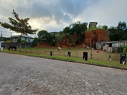 Terreno de 3.408M² com Escritura Pública na Tapera - Florianópolis/SC - Terreno em Tapera, Florianópolis - Foto 3