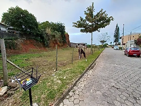 Terreno de 3.408M² com Escritura Pública na Tapera - Florianópolis/SC - Terreno em Tapera, Florianópolis - Foto 4