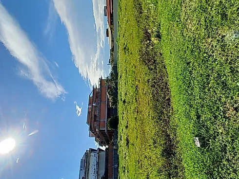 Terreno Plano de 387,12M², Plano, com Escritura Pública, no Condomínio Caminho do Engenho I - Campec - Terreno em Campeche, Florianópolis - Foto 4