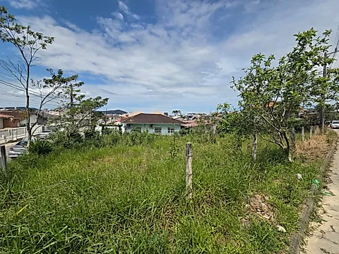 Terreno 447m² - Passa Vinte - Foto 6