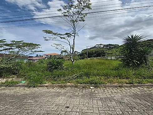 Terreno 447m² - Passa Vinte - Foto 7