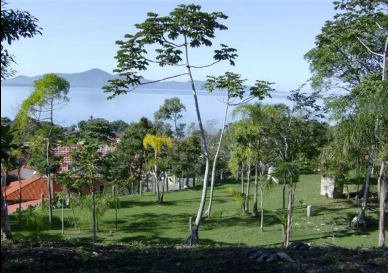 Terreno em Ponta de Baixo, São José