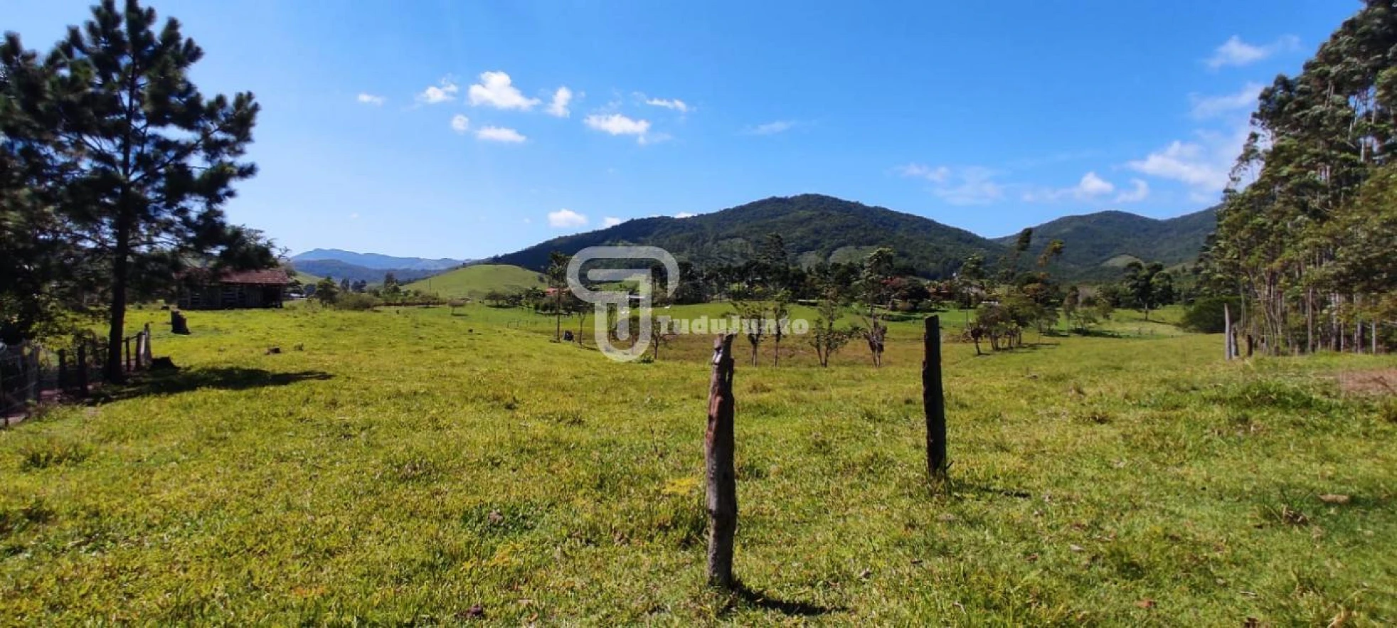 Bom Retiro, Paulo Lopes