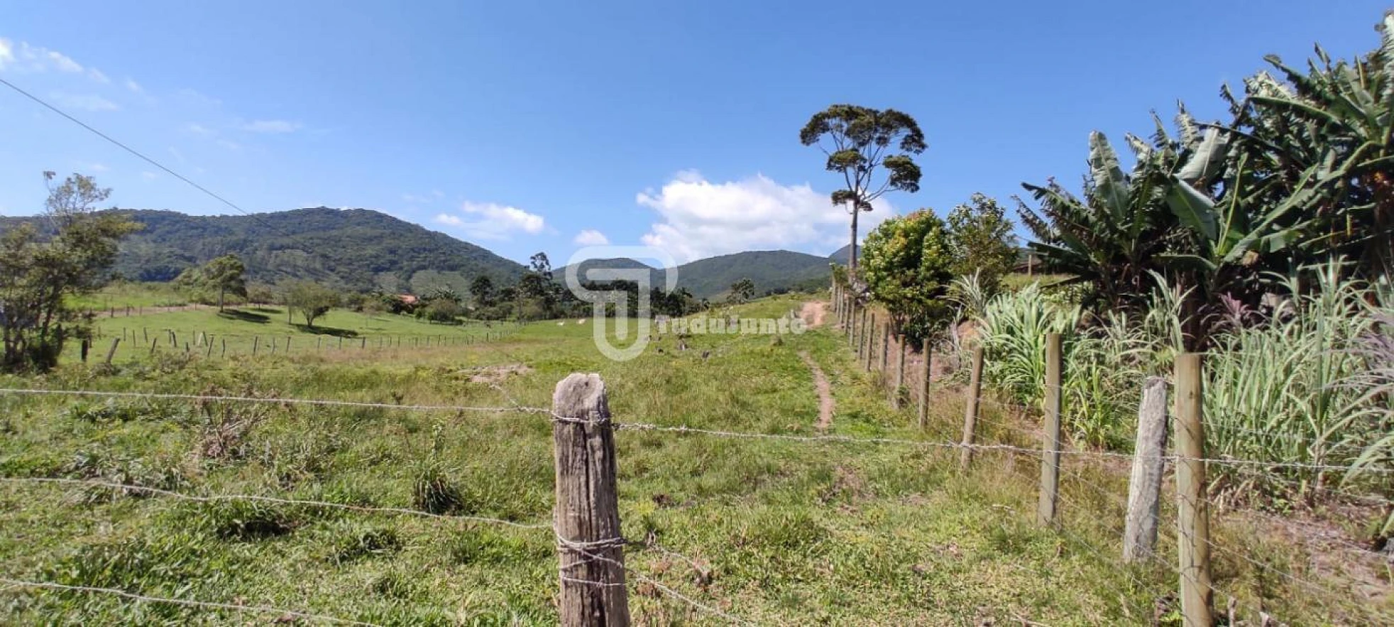 Terreno em Bom Retiro, Paulo Lopes
